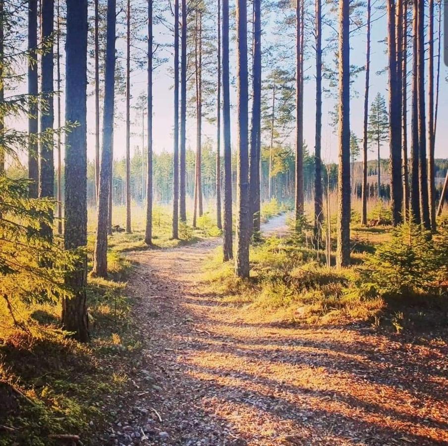 Trevlig Stuga Naera Hovfjaellet Torsby Exterior foto