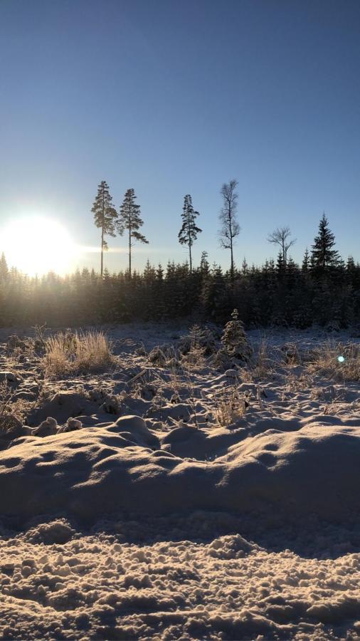 Trevlig Stuga Naera Hovfjaellet Torsby Exterior foto