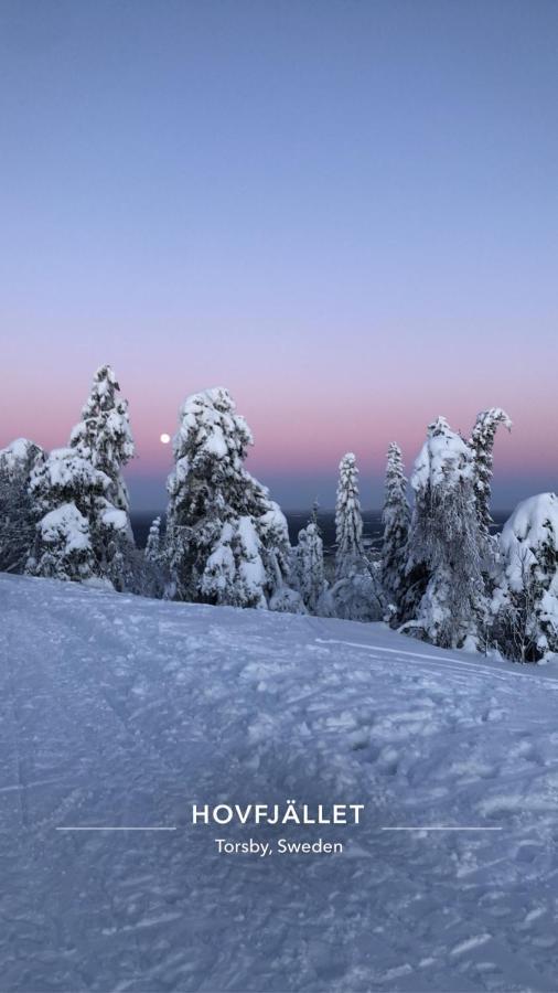 Trevlig Stuga Naera Hovfjaellet Torsby Exterior foto