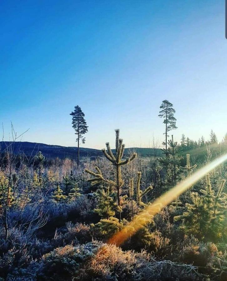 Trevlig Stuga Naera Hovfjaellet Torsby Exterior foto