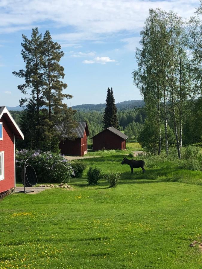 Trevlig Stuga Naera Hovfjaellet Torsby Exterior foto