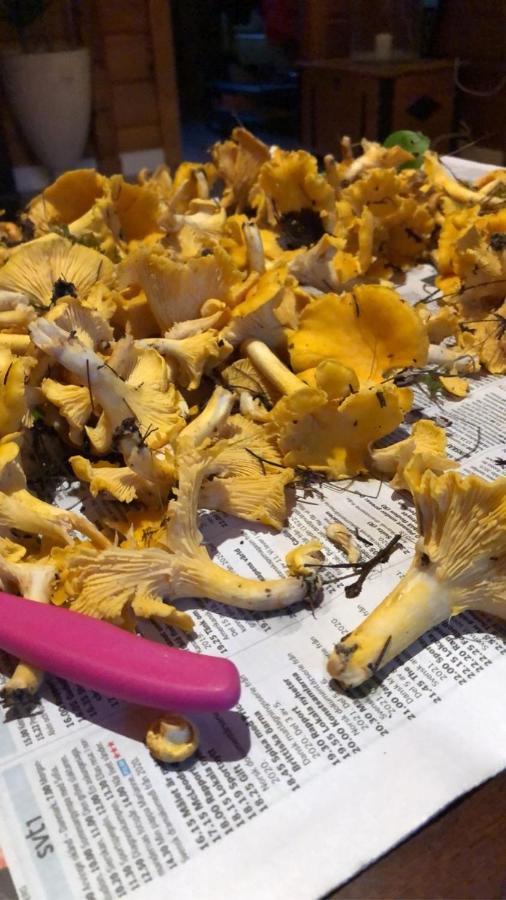 Trevlig Stuga Naera Hovfjaellet Torsby Exterior foto